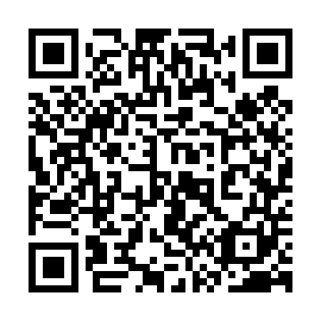 QR code for plate 3V7 441