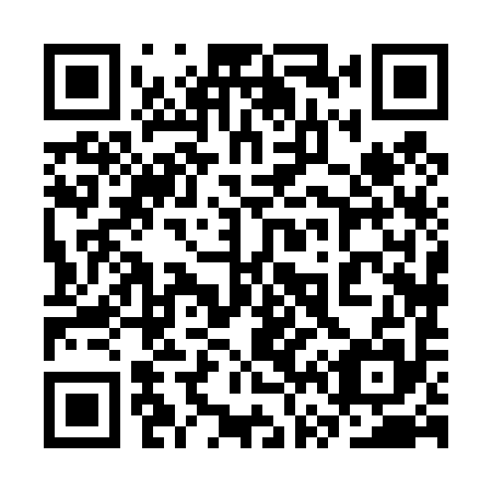 QR code for plate 3V8 495