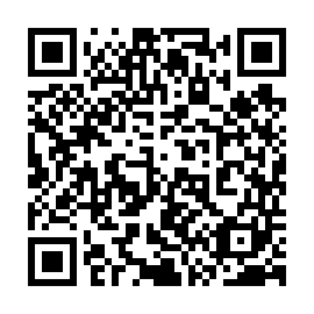 QR code for 3V9 641