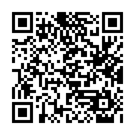 QR code for 3VM P17