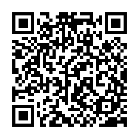 QR code for plate 3VR P41