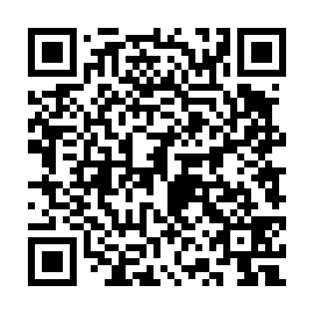 QR code for plate 3VT 439