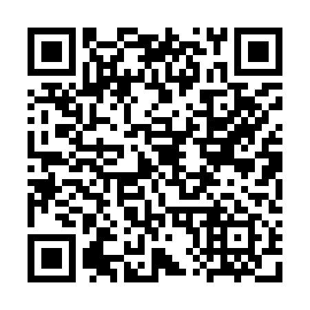 QR code for 3X0 919