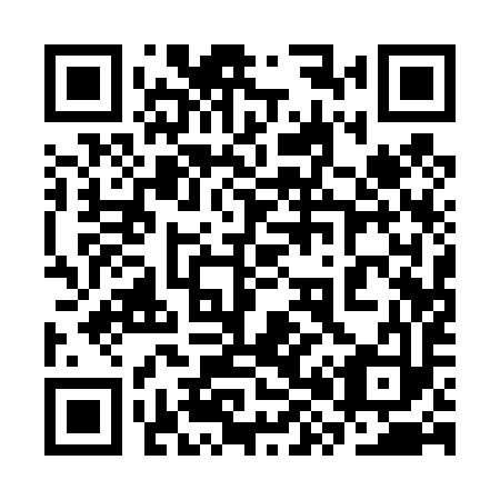QR code for 3X1 493