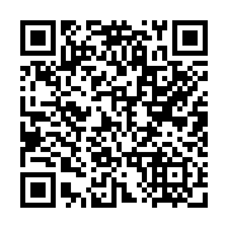 QR code for plate 3X1 319