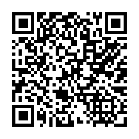QR code for 3X6 299