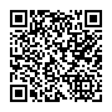 QR code for 3X9 347