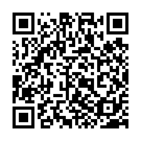 QR code for 3XF V11