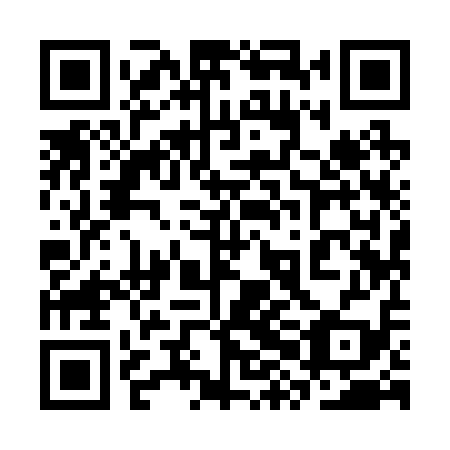 QR code for 3XI 219