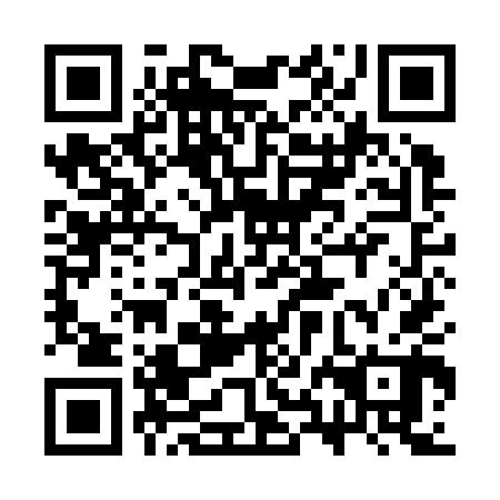QR code for plate 3XI K40