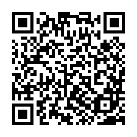 QR code for plate 3XJ 082