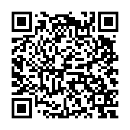 QR code for plate 3XT D37
