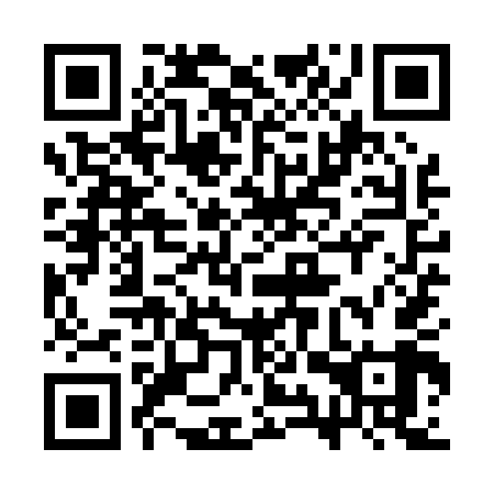 QR code for plate 3YY P49