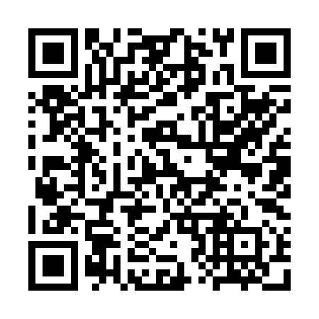 QR code for plate 3Z9 290
