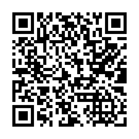 QR code for plate 3ZN T95