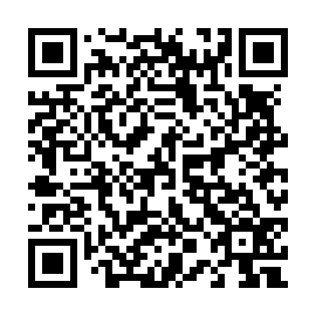 QR code for plate 40G N36