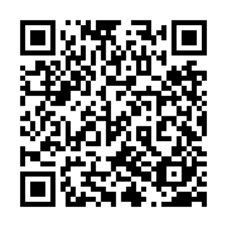 QR code for plate 40N NZ0