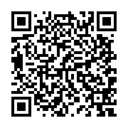 QR code for plate 40V E98