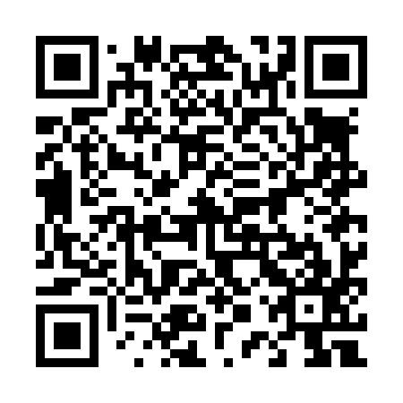 QR code for plate 40W L97