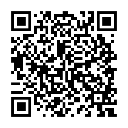 QR code for 40X 381