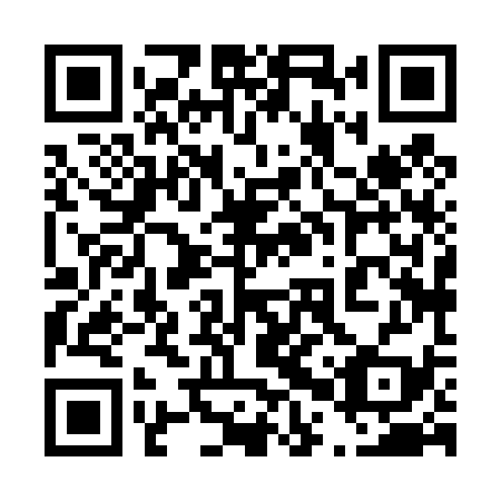 QR code for plate 40X 439