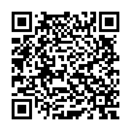 QR code for plate 41C N56