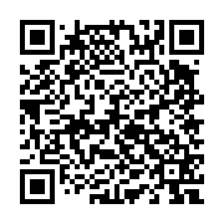 QR code for plate 41E 461