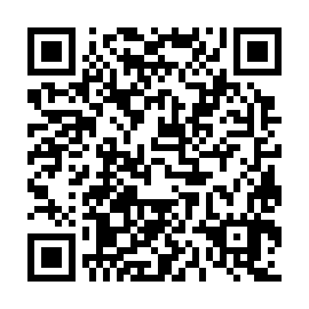 QR code for 41G 387