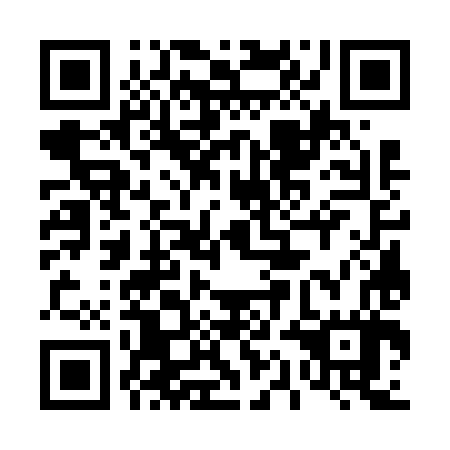 QR code for plate 41G 687