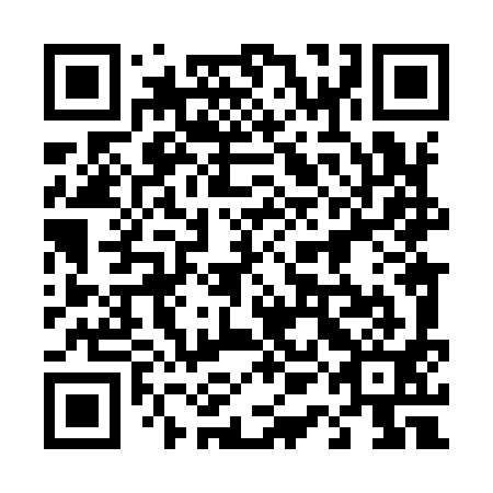 QR code for 41L991
