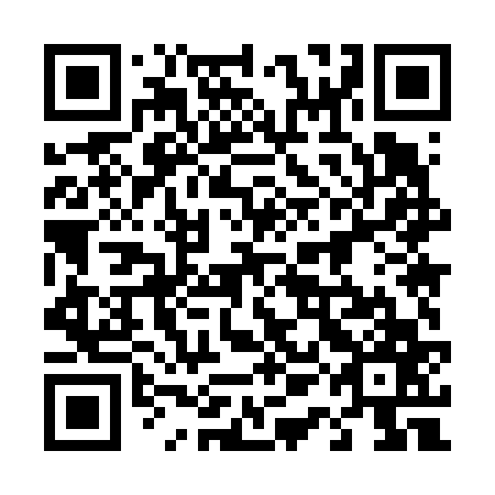 QR code for plate 41M 667