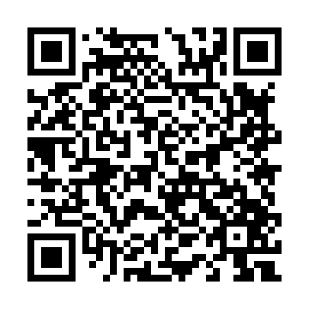 QR code for plate 41M 847
