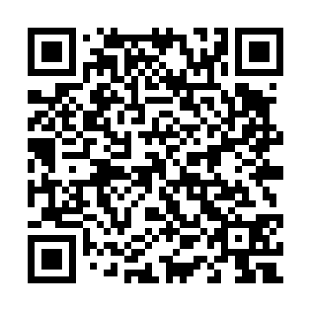 QR code for plate 41M T30