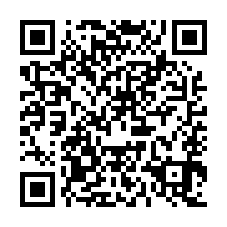 QR code for 41N P91