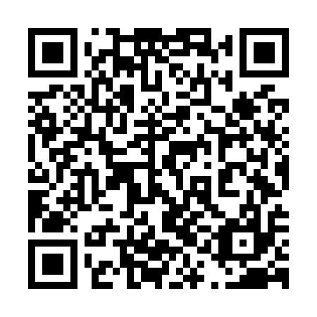 QR code for plate 41N O17