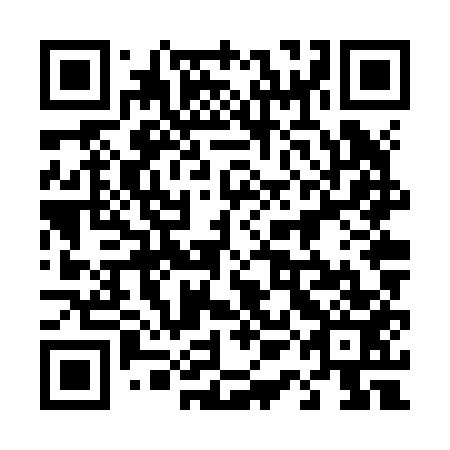 QR code for plate 41N Z53