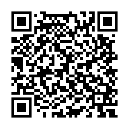 QR code for plate 41O 540