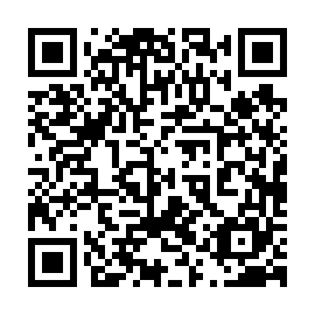 QR code for 41P 665