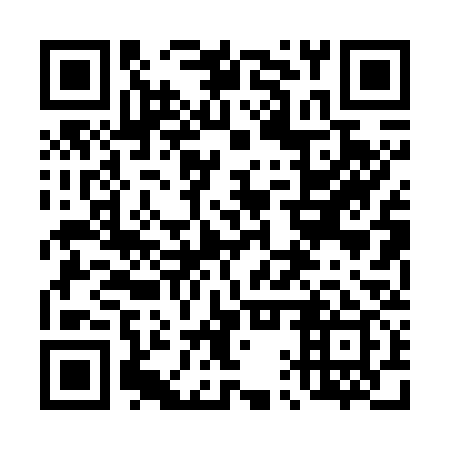 QR code for 41P 739