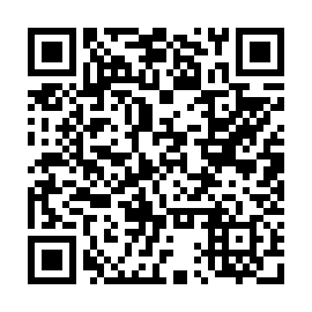 QR code for plate 41Q 638