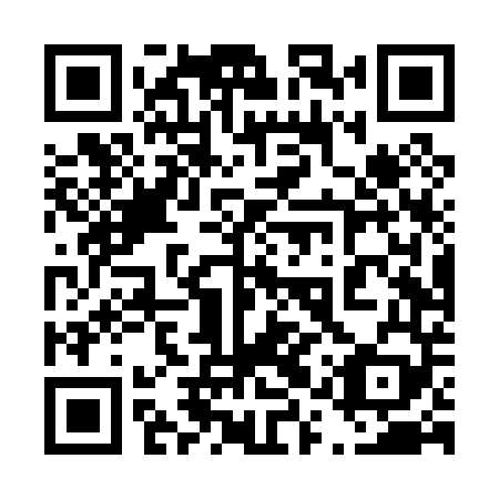 QR code for 41T P49