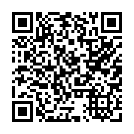QR code for plate 41T 088