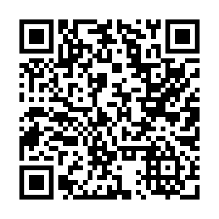 QR code for plate 41T 095