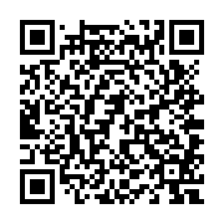 QR code for plate 41T ZX4