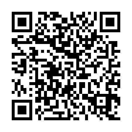 QR code for plate 41V W33