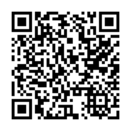QR code for plate 41W 036