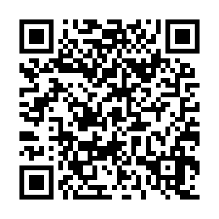 QR code for plate 41W YS6