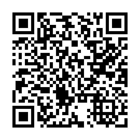 QR code for plate 41X O32