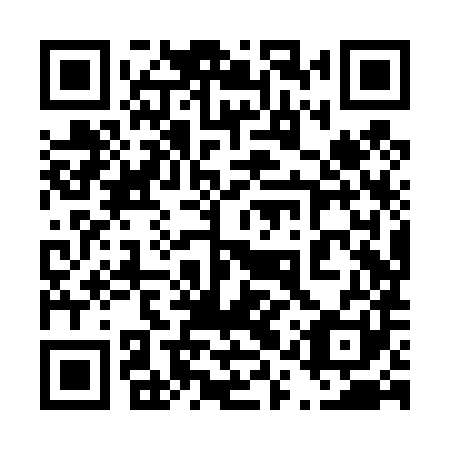 QR code for plate 41X T81