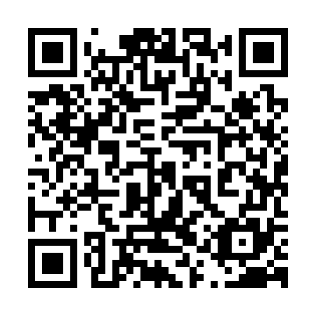QR code for 41Y 375